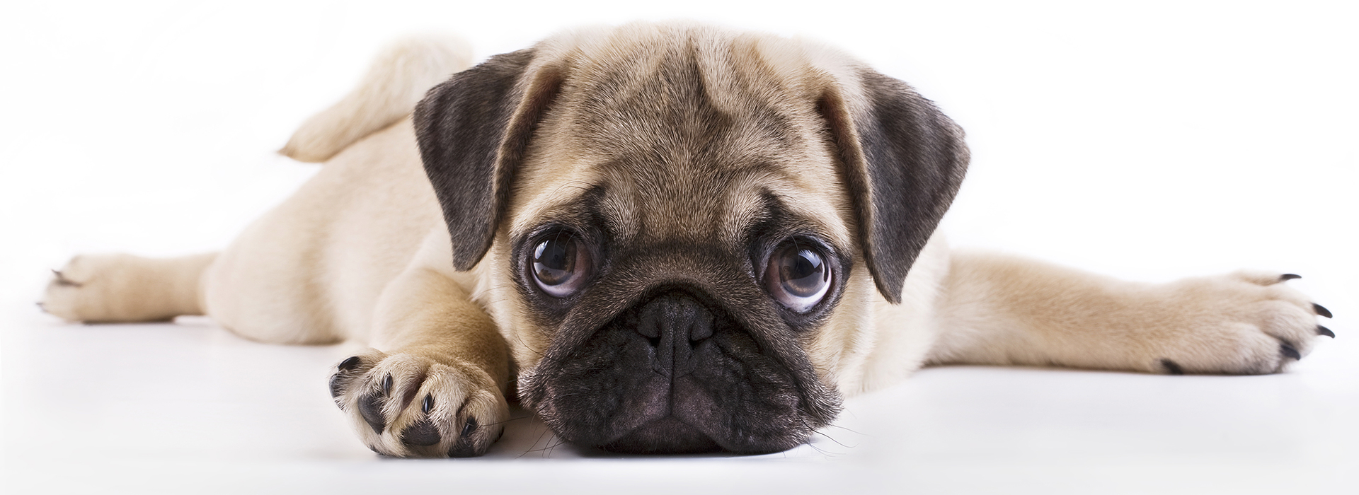 Slide background